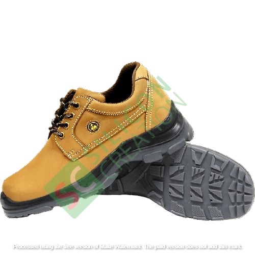 ESD Safety Shoe